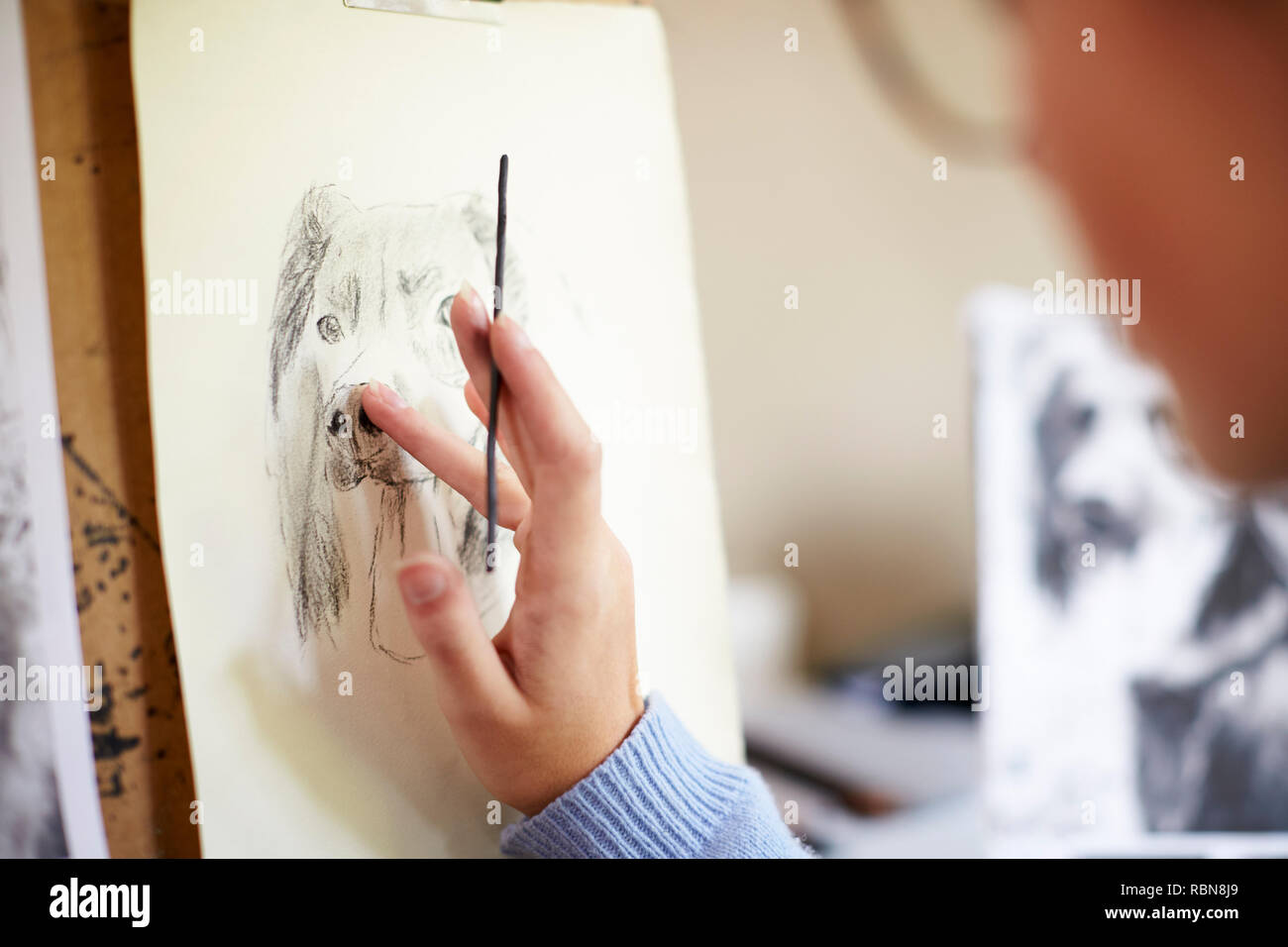 Ravvicinata di un adolescente di sesso femminile artista seduto al cavalletto disegno immagine del cane da fotografare in carbone di legna Foto Stock