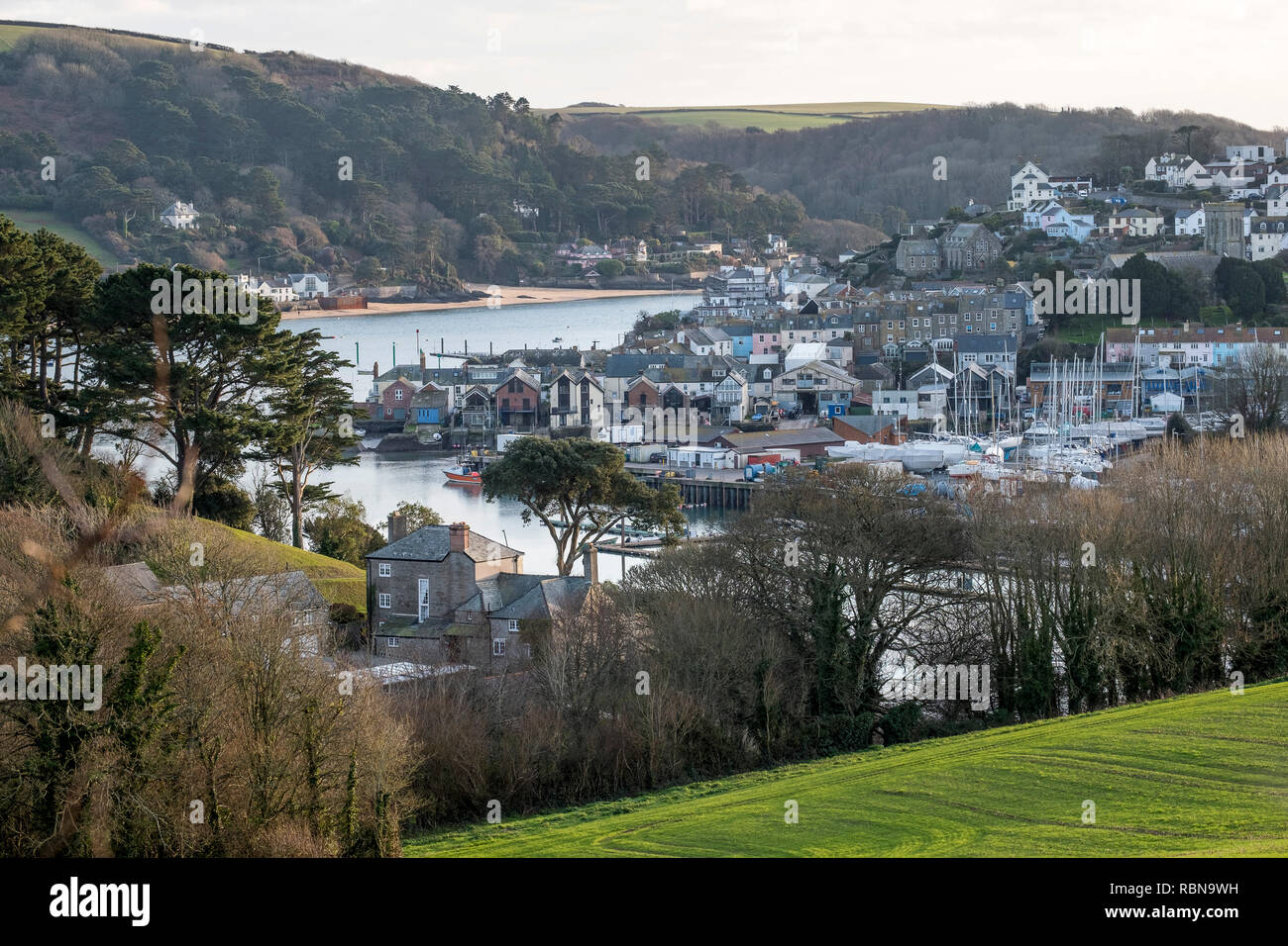 Vista Wingter da Snapes Point attraverso l'estuario di Kingsbridge a Salcombe, South Hams, South Devon. REGNO UNITO Foto Stock