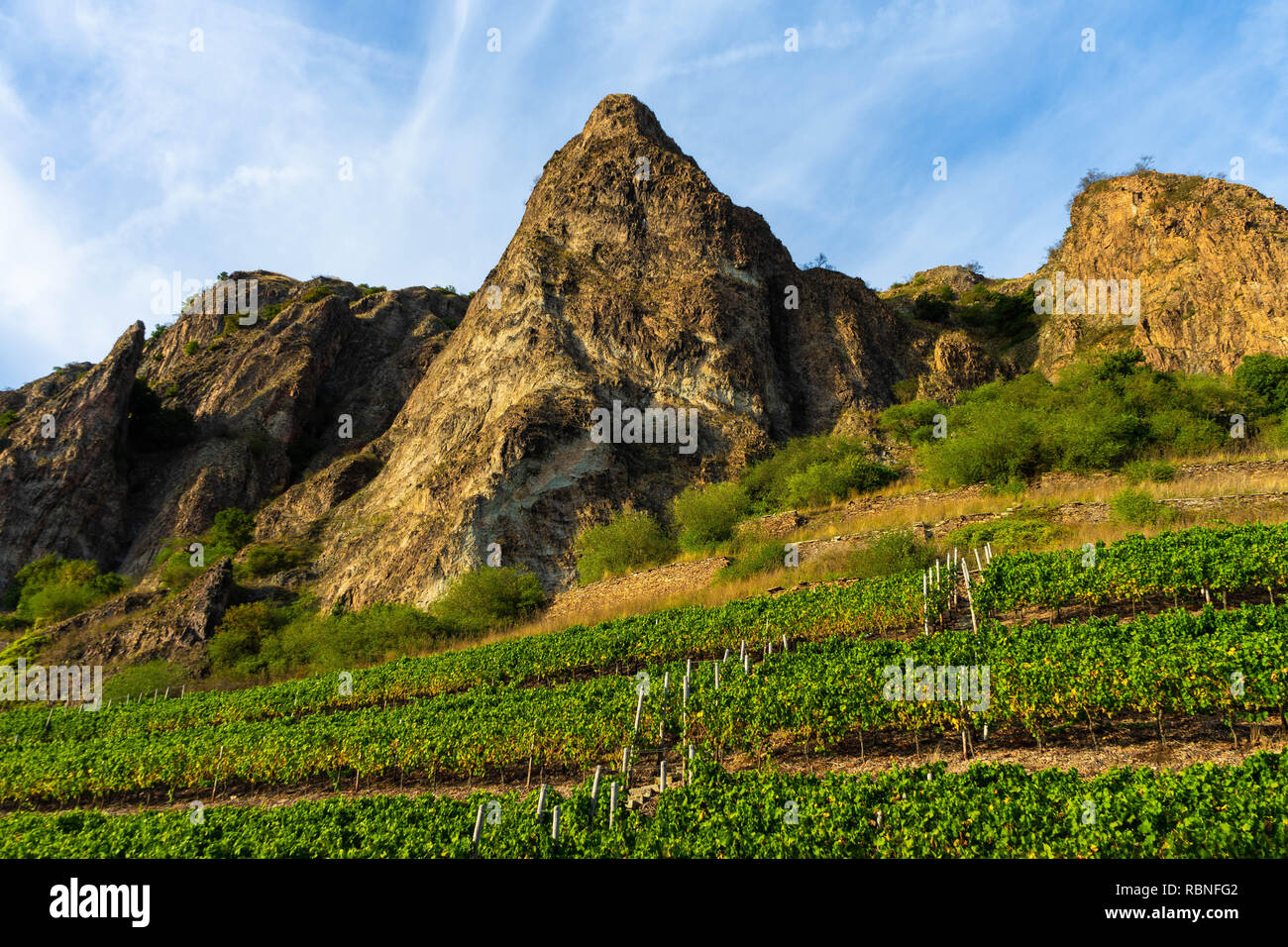 Vigneti sulla Rotenfels massiccio montuoso Bad Münster am Stein-Ebernburg vicino a Bad Kreuznach, Renania-Palatinato, Germania Foto Stock