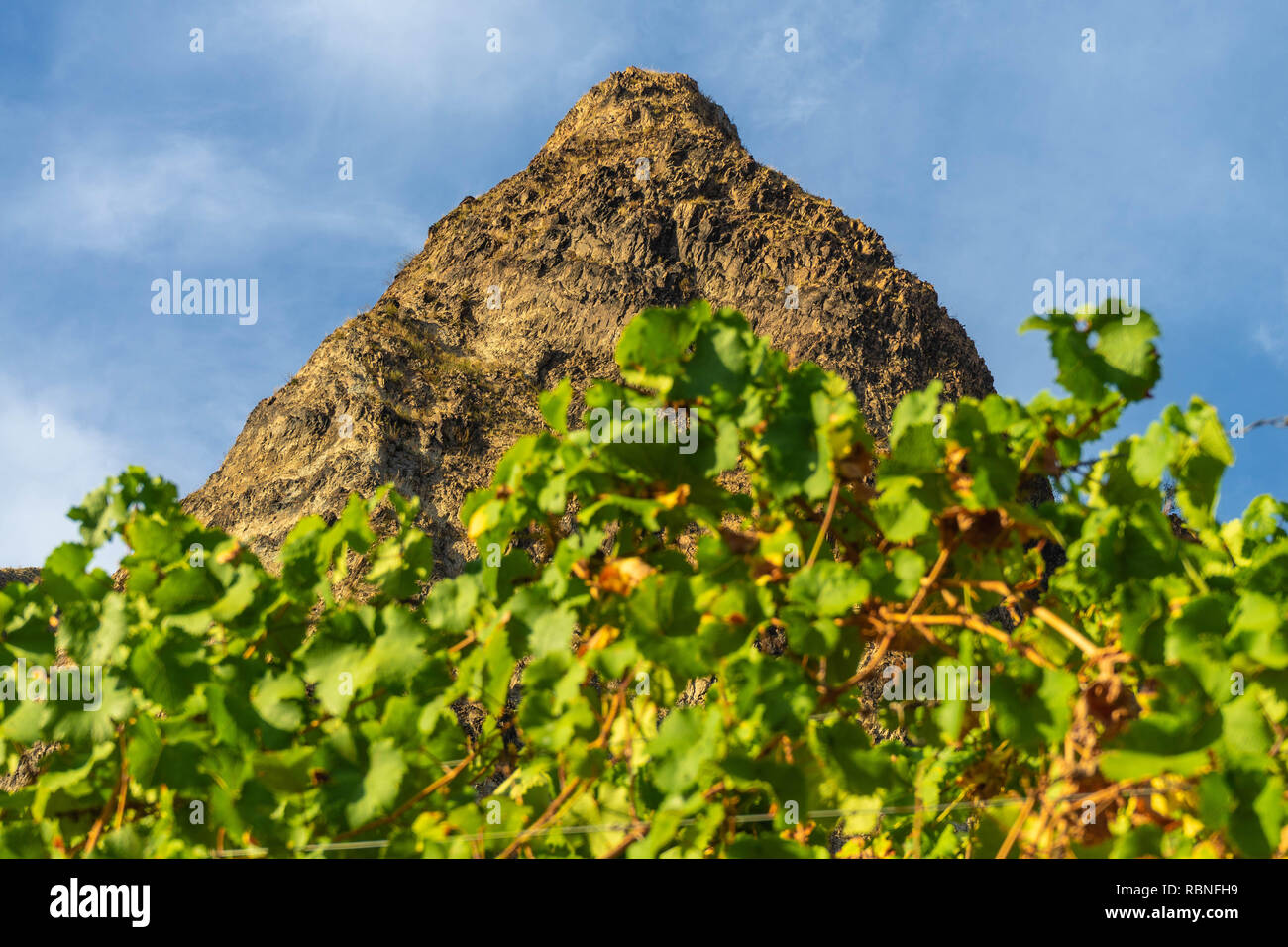 Vigneti sulla Rotenfels massiccio montuoso Bad Münster am Stein-Ebernburg vicino a Bad Kreuznach, Renania-Palatinato, Germania Foto Stock