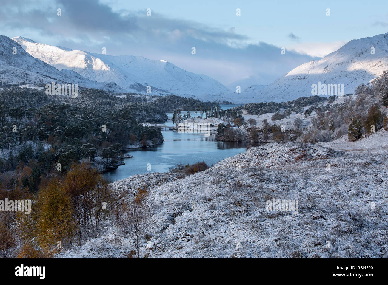 Inverno incontra l'autunno. Una leggera spolverata di neve provvisto un freddo per iniziare la giornata in Glen Affric, altopiani, Scozia Foto Stock