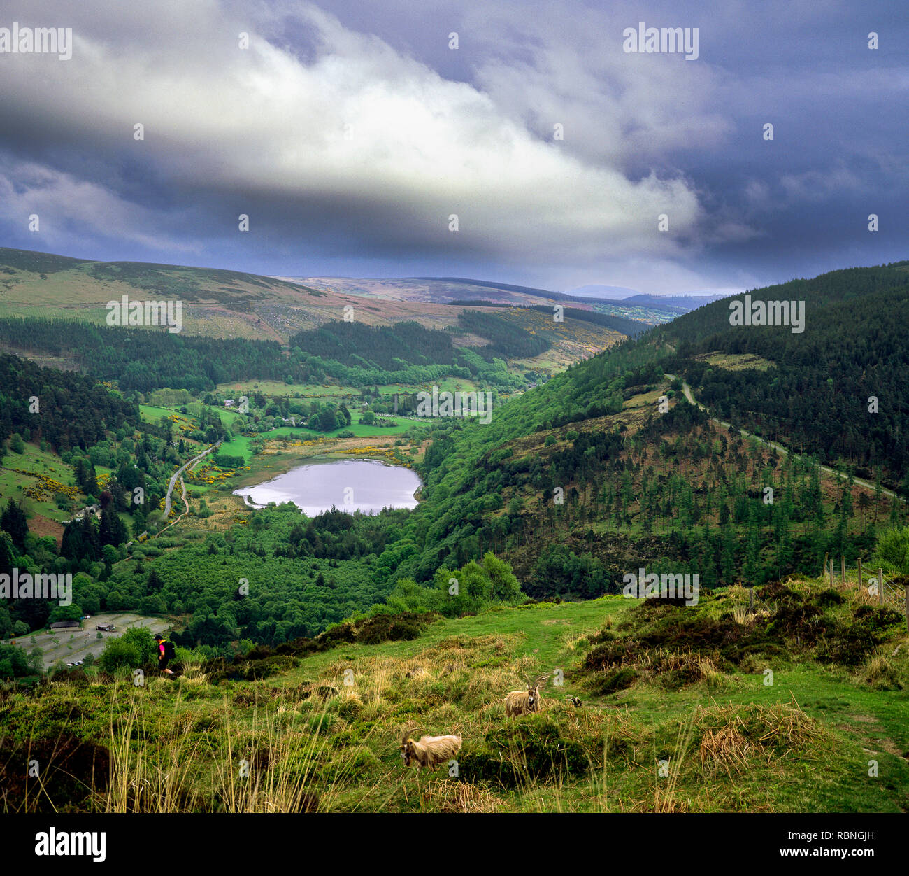 Glendalough National Park nella contea di Wicklow, Irlanda Foto Stock