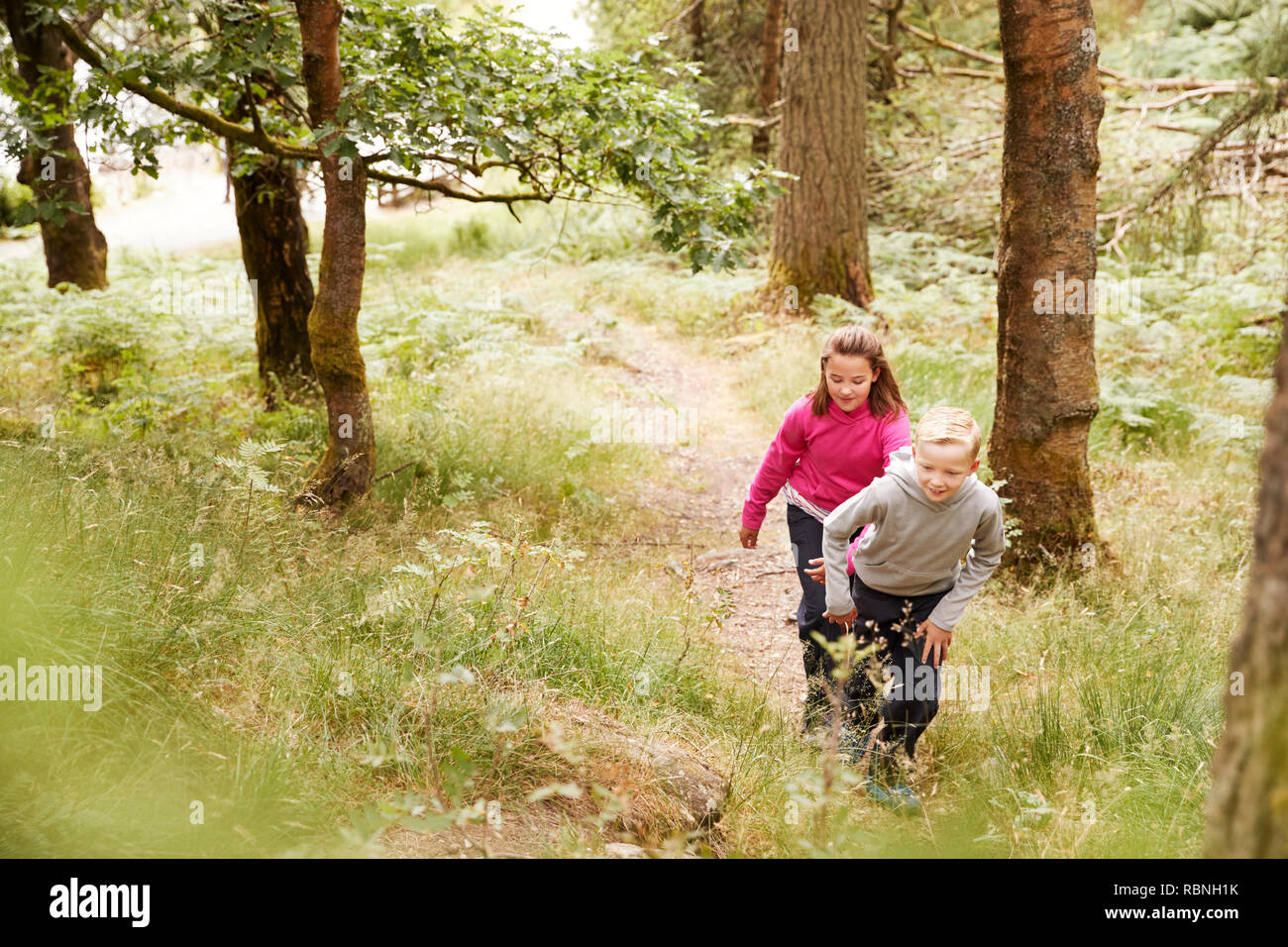 Vista in elevazione di due bambini escursioni su un pendio in una foresta, il fuoco selettivo a lunghezza piena Foto Stock
