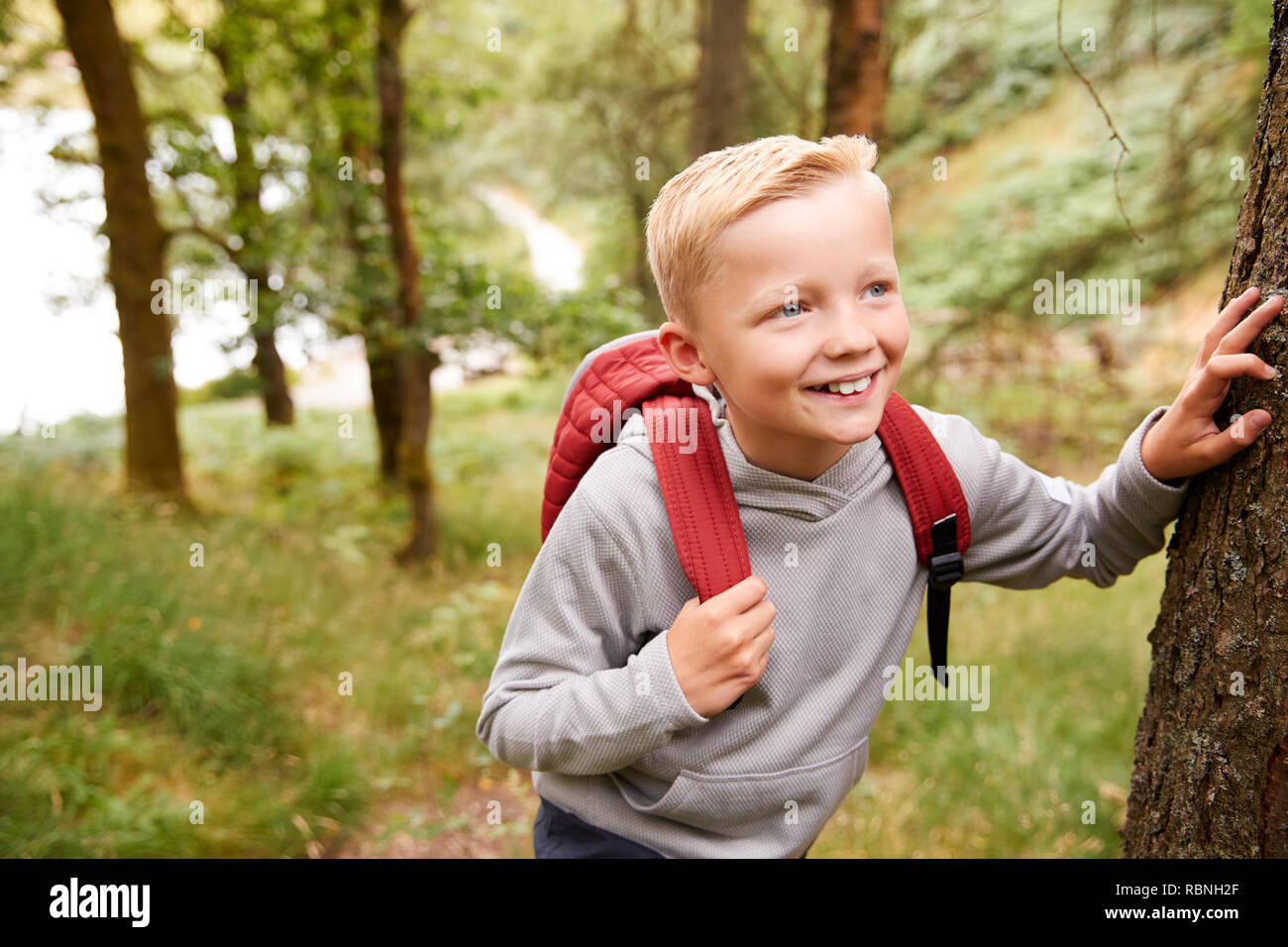 Pre-teen boy prendendo una pausa appoggiato su di un albero durante una passeggiata in un bosco, vista in elevazione, close up Foto Stock