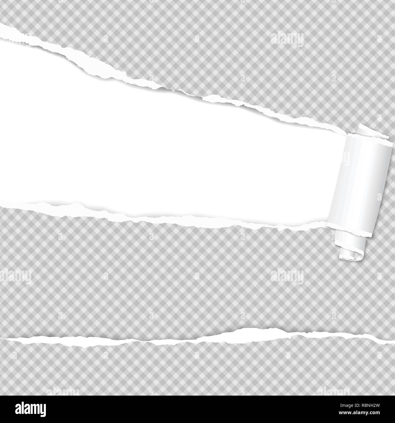 Laminati e strappato squadrato notebook bianco foglio di carta per il testo. Illustrazione Vettoriale Illustrazione Vettoriale