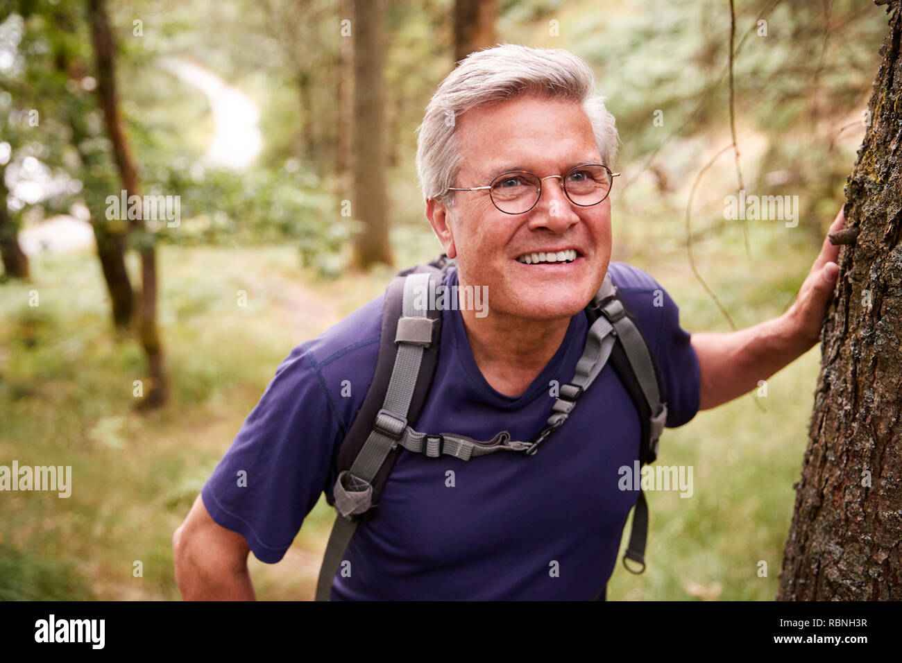 Persone di mezza età uomo caucasico prendendo una pausa durante un'escursione, appoggiato su di un albero in una foresta, vita, close up Foto Stock