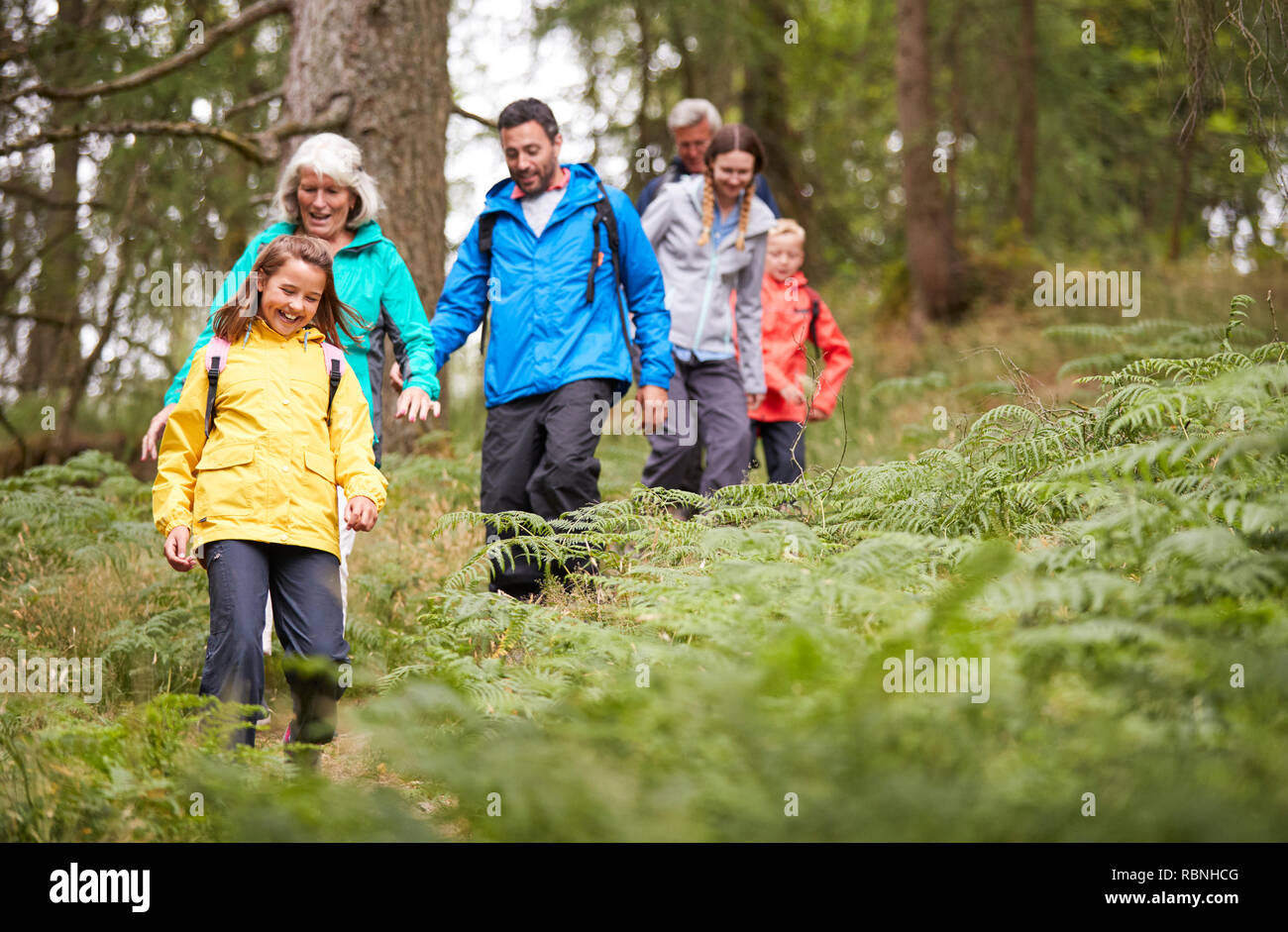 Multi generazione famiglia passeggiate in linea in discesa su un sentiero in una foresta durante una vacanza in campeggio, Lake District, REGNO UNITO Foto Stock