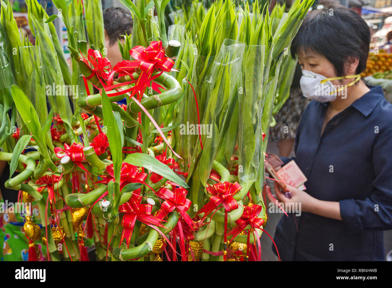 Bambù fortunato secondo la tradizione cinese, dà buona fortuna per la persona che lo riceve, Chinatown, Bangkok Foto Stock