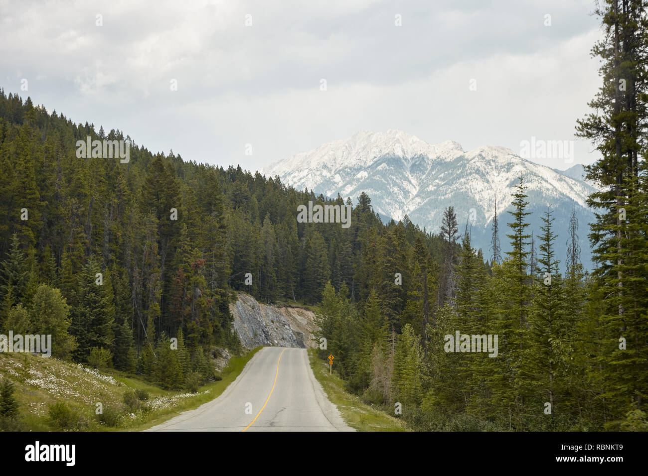 Strada di campagna attraverso la boscosa valle tra le montagne in Alaska Foto Stock