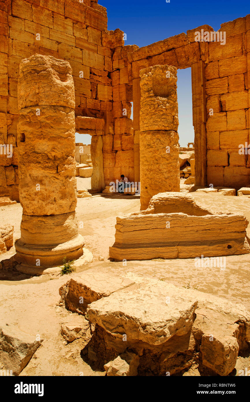 L'Agora. Le rovine della vecchia Greco città romana di Palmira. Siria, Medio Oriente Foto Stock