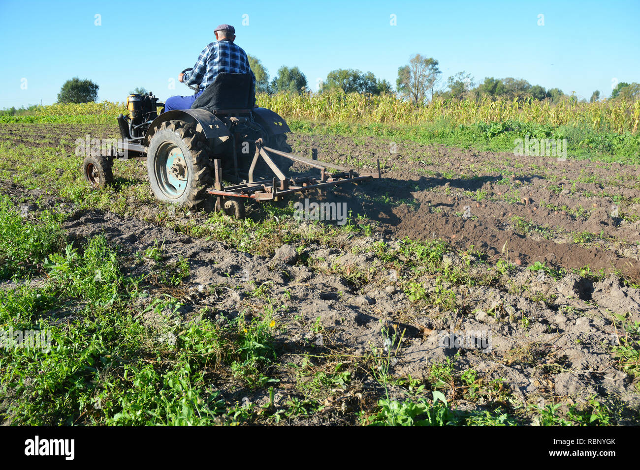 Il vecchio contadino vintage trattore aratura del campo di patate. Foto Stock