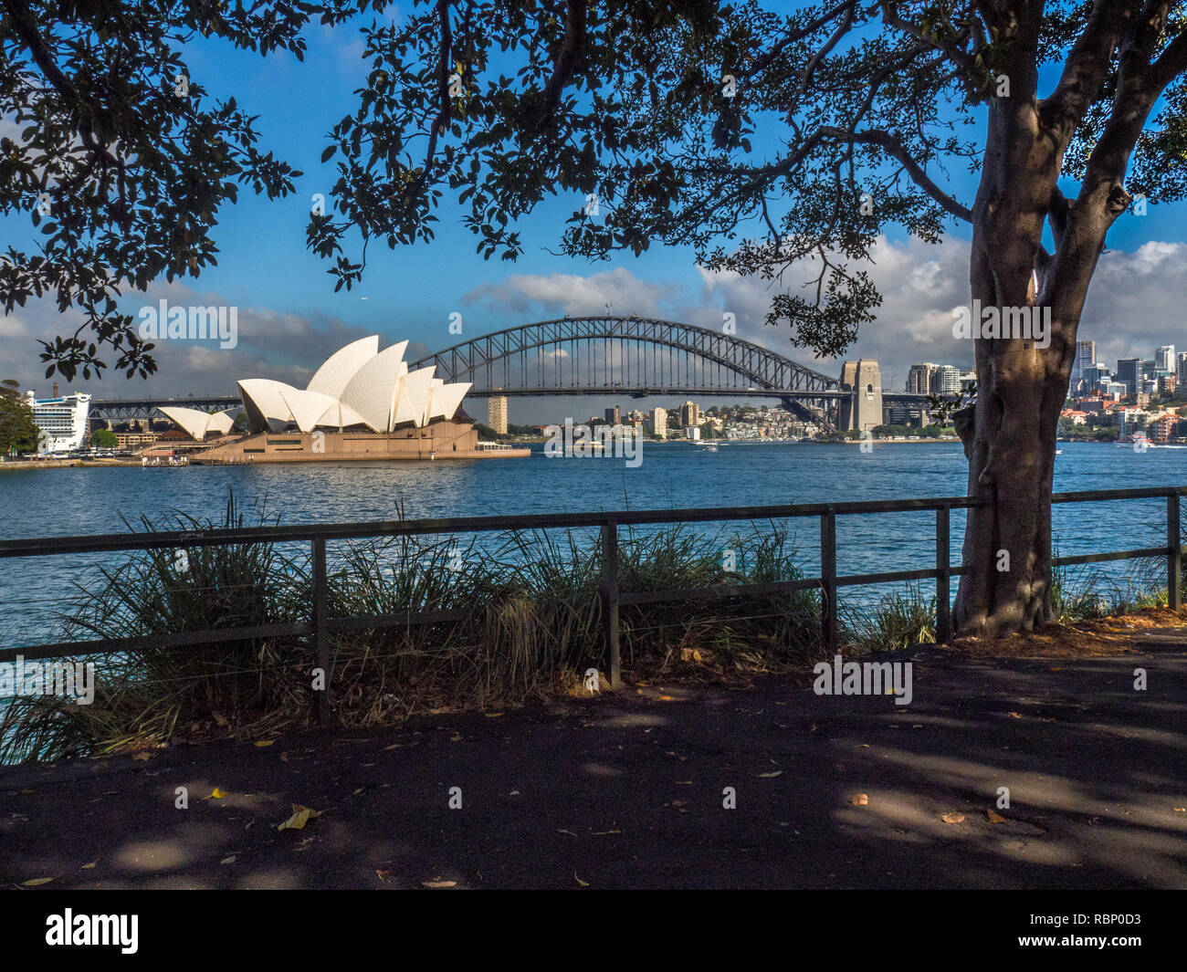 Sydney Harbour Bridge e Opera House dalla sig.ra Macquarie's Chair Foto Stock