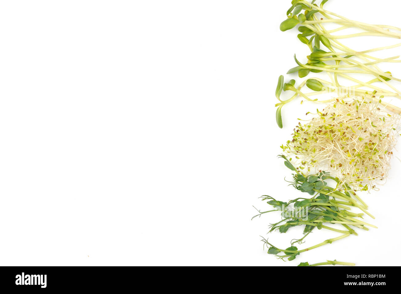 Il segnale di PEA i germogli di erba medica germogliato e semi di girasole germinato su sfondo bianco. Sana dieta alimentare, freschi prodotti biologici .orientamento orizzontale. Foto Stock