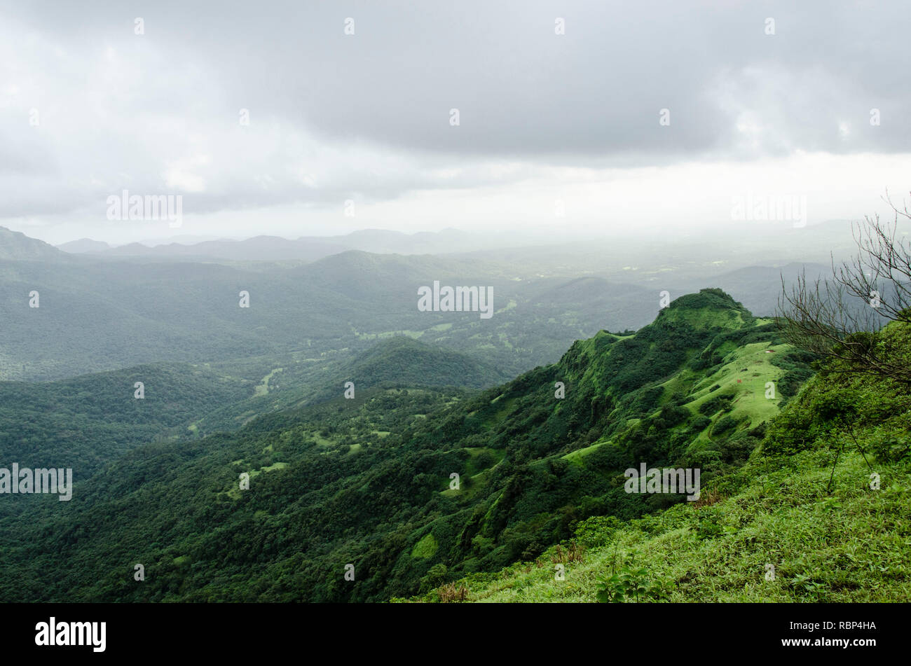 Paesaggio di i Ghati Occidentali, Sindhudurg, Maharashtra, India, Asia Foto Stock