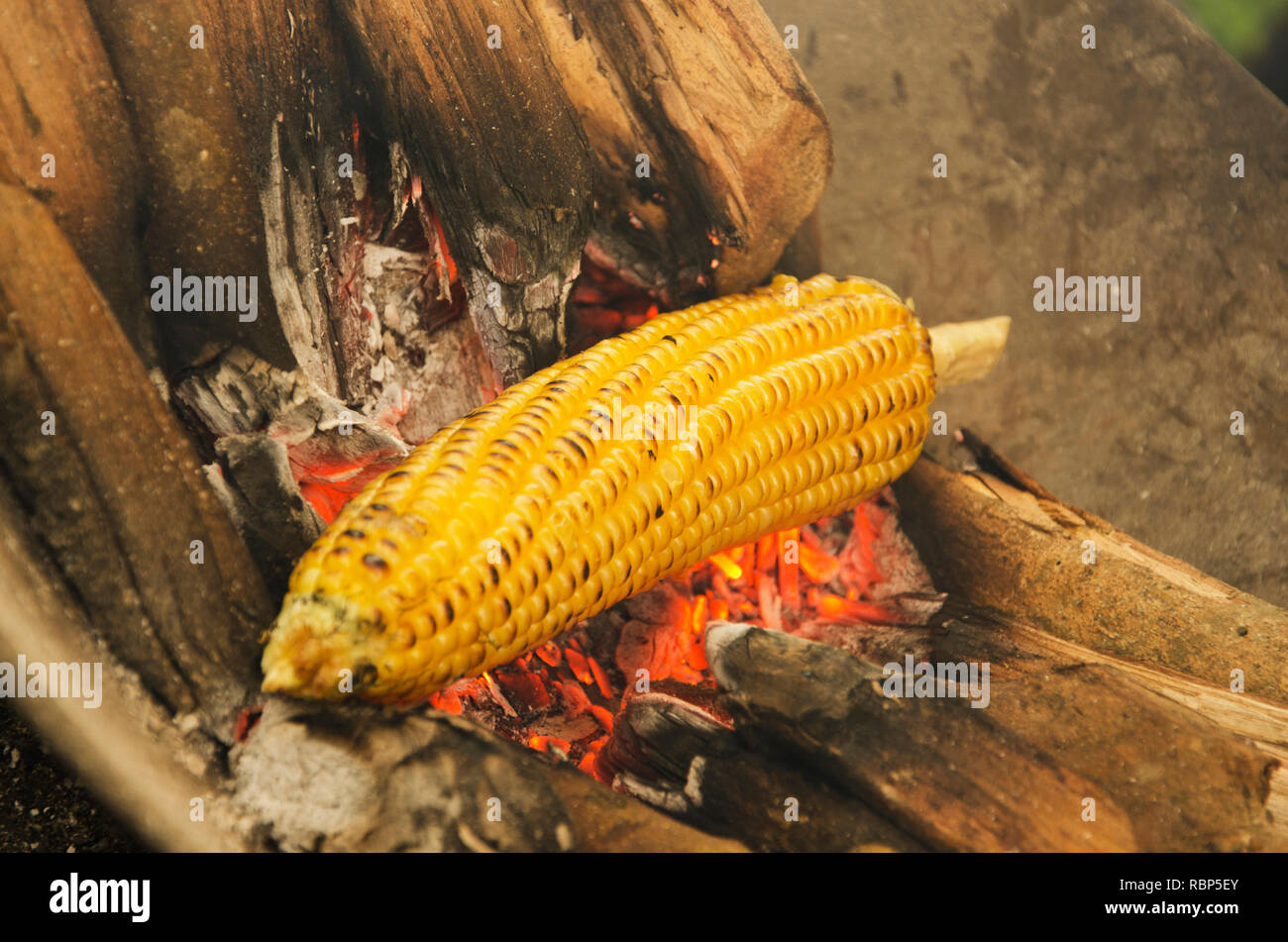 Il mais tostato, Amboli ghat, punto picnic, Maharashtra, India, Asia Foto Stock