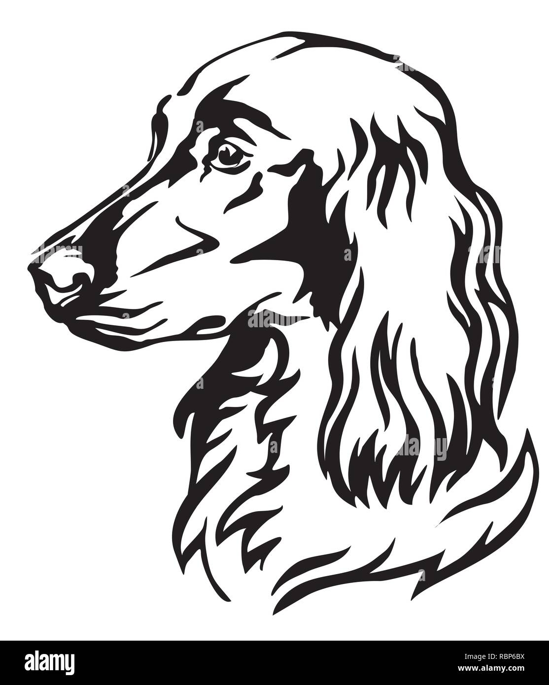 Ritratto decorativo di cane Setter Irlandese, vettore isolato illustrazione in colore nero su sfondo bianco. Immagine per design e tatuaggio. Illustrazione Vettoriale