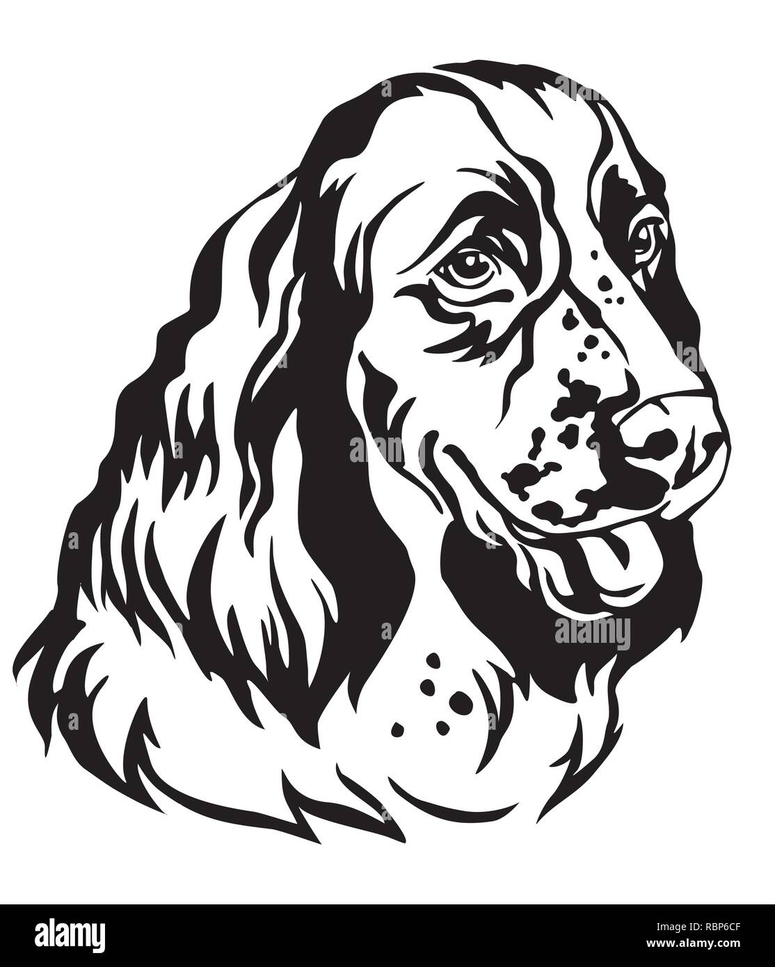 Ritratto decorativo di cane English Springer Spaniel, vettore isolato illustrazione in colore nero su sfondo bianco. Immagine per design e tatuaggio. Illustrazione Vettoriale