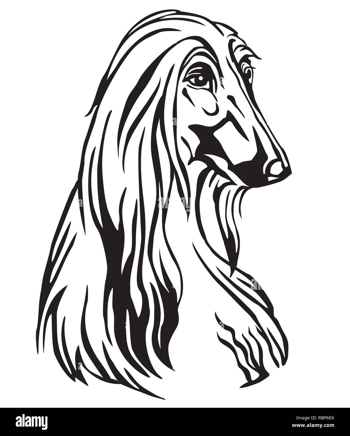 Ritratto decorativo di cane Levrieri Afghani, vettore isolato illustrazione in colore nero su sfondo bianco. Immagine per design e tatuaggio. Illustrazione Vettoriale