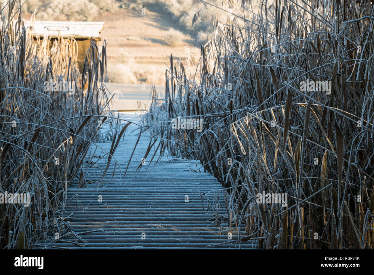 Gangplank nel pettine nel paesaggio invernale Foto Stock