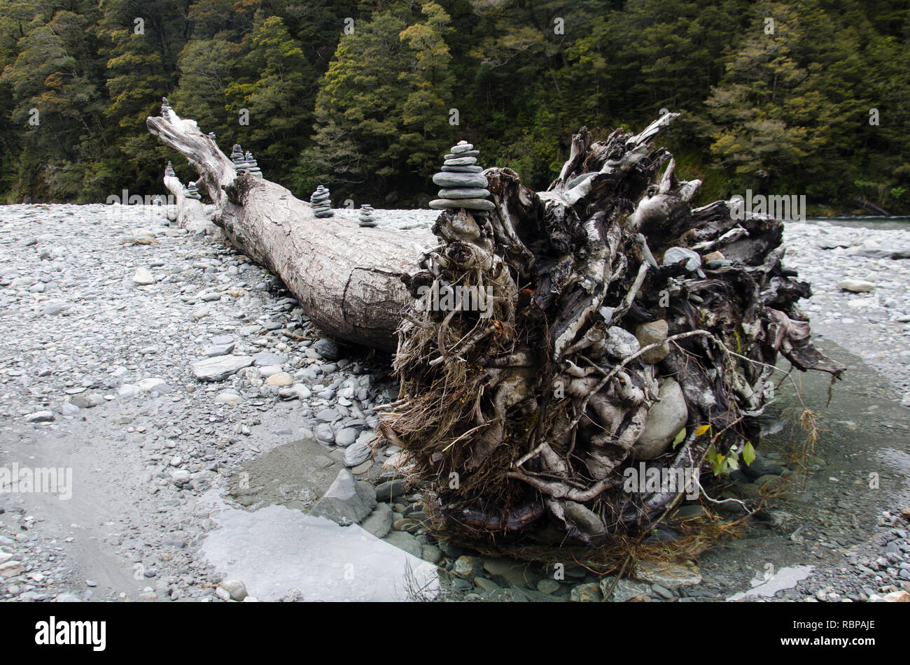 Nell'Isola Sud della Nuova Zelanda un albero caduto in un alveo pietroso è stata ornata dai viaggiatori con ordinatamente accatastati pietre in un gesto di pace Foto Stock