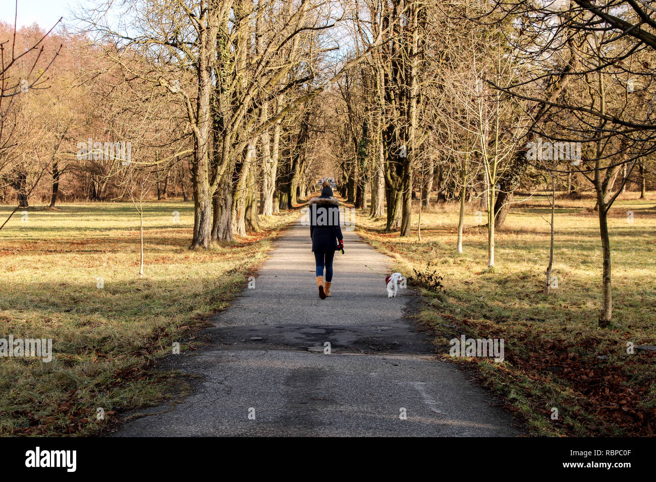 Persona che cammina con il cane nel parco durante la calda giornata invernale, Slovacchia Europa Foto Stock