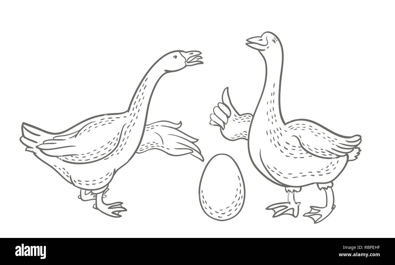 Due oche, uovo di oca schizzo, cartoon funny goose isolati su sfondo bianco, oca natura domestica carattere, pollame Illustrazione Vettoriale