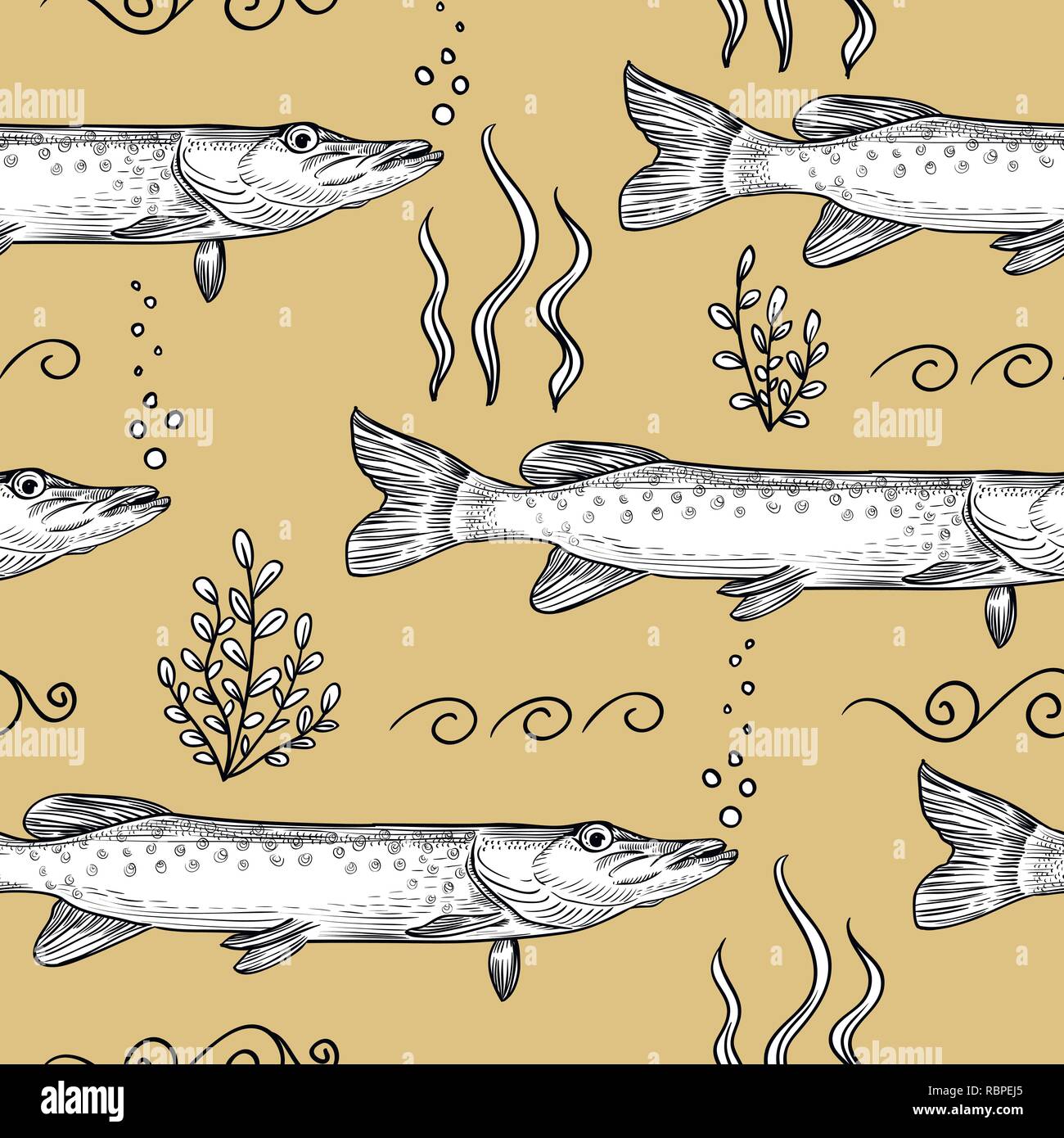 Pike. Modello senza giunture di Pike. Mano bozzetto illustrazione Illustrazione Vettoriale