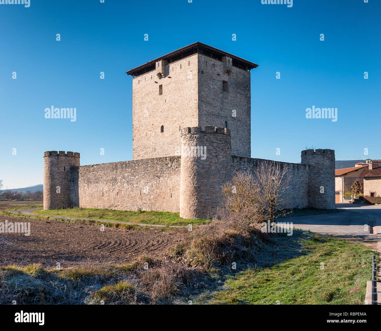 Vista del castello di Mendoza/Mendoza Torre vicino a Vitoria Gasteiz Alava, Paesi Baschi Foto Stock