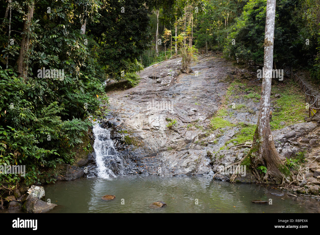 Stinky Durian Perangin cascata tropicale sull'isola di Langkawi in Malaysia. La bellissima natura del sud est asiatico. Foto Stock Stinky Durian Perangin cascata tropicale sull'isola di Langkawi in Malaysia. La bellissima natura del sud est asiatico. Foto Stock