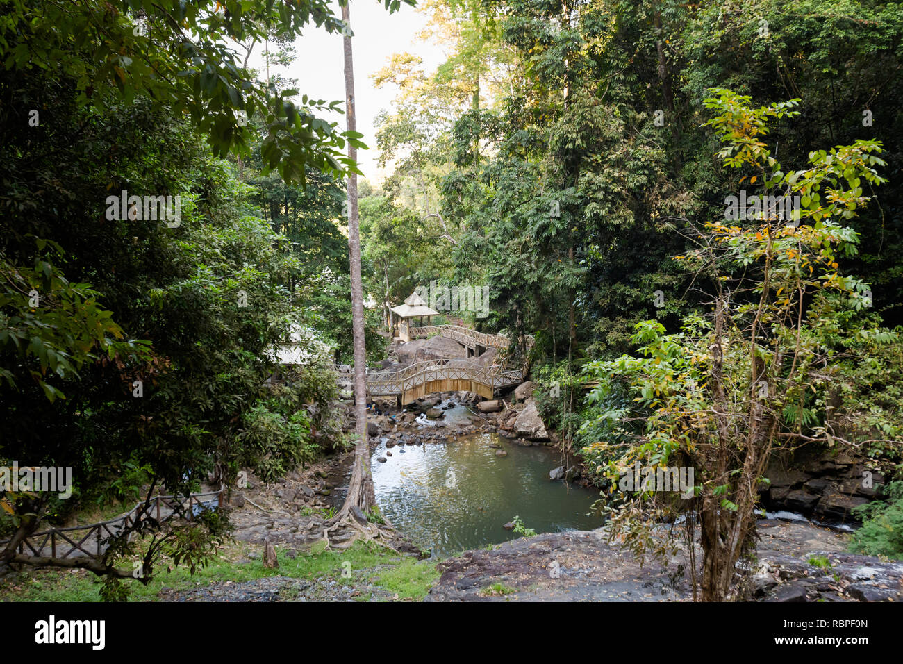 Stinky Durian Perangin cascata tropicale sull'isola di Langkawi in Malaysia. La bellissima natura del sud est asiatico. Foto Stock