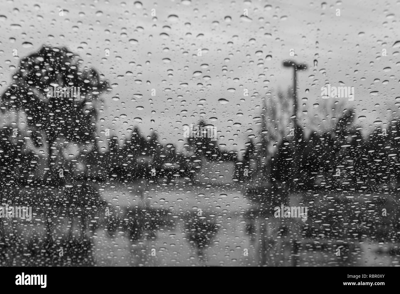 Gocce di pioggia sulla finestra; alberi sfocata in background; profondità di campo; in bianco e nero Foto Stock