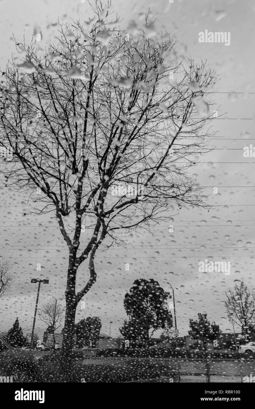Sfocato gocce di pioggia sulla finestra; concentrarsi sugli alberi in background; in bianco e nero Foto Stock