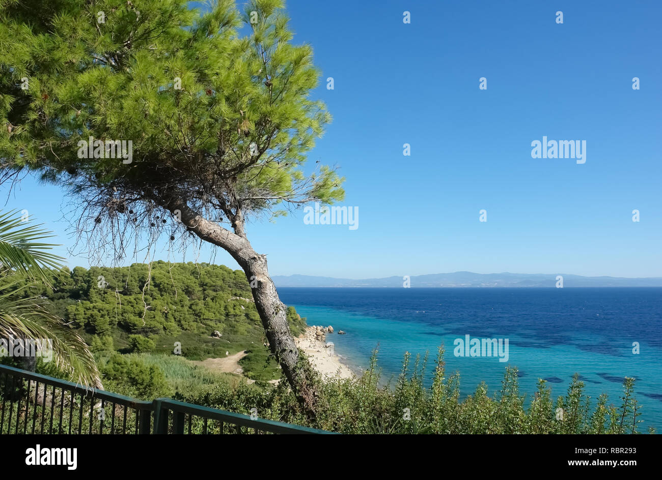 Albero di pino sulla collina e la vista panoramica sul mare turchese e la spiaggia sabbiosa, penisola di Halkidiki, Grecia. Foto Stock