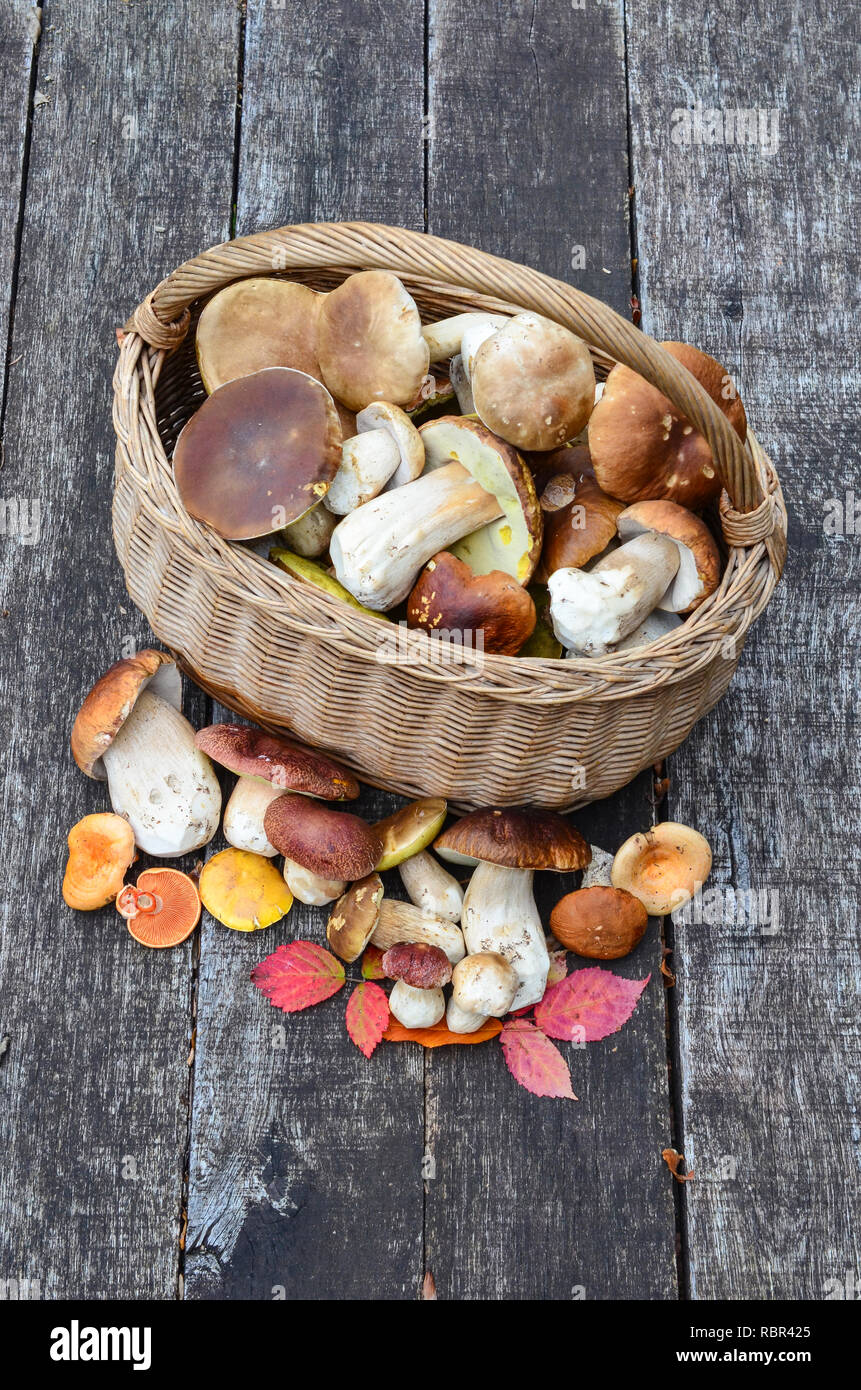 Vista dall'alto su un paniere di prodotti freschi i funghi commestibili sulla vecchia quercia tavolo in legno Foto Stock