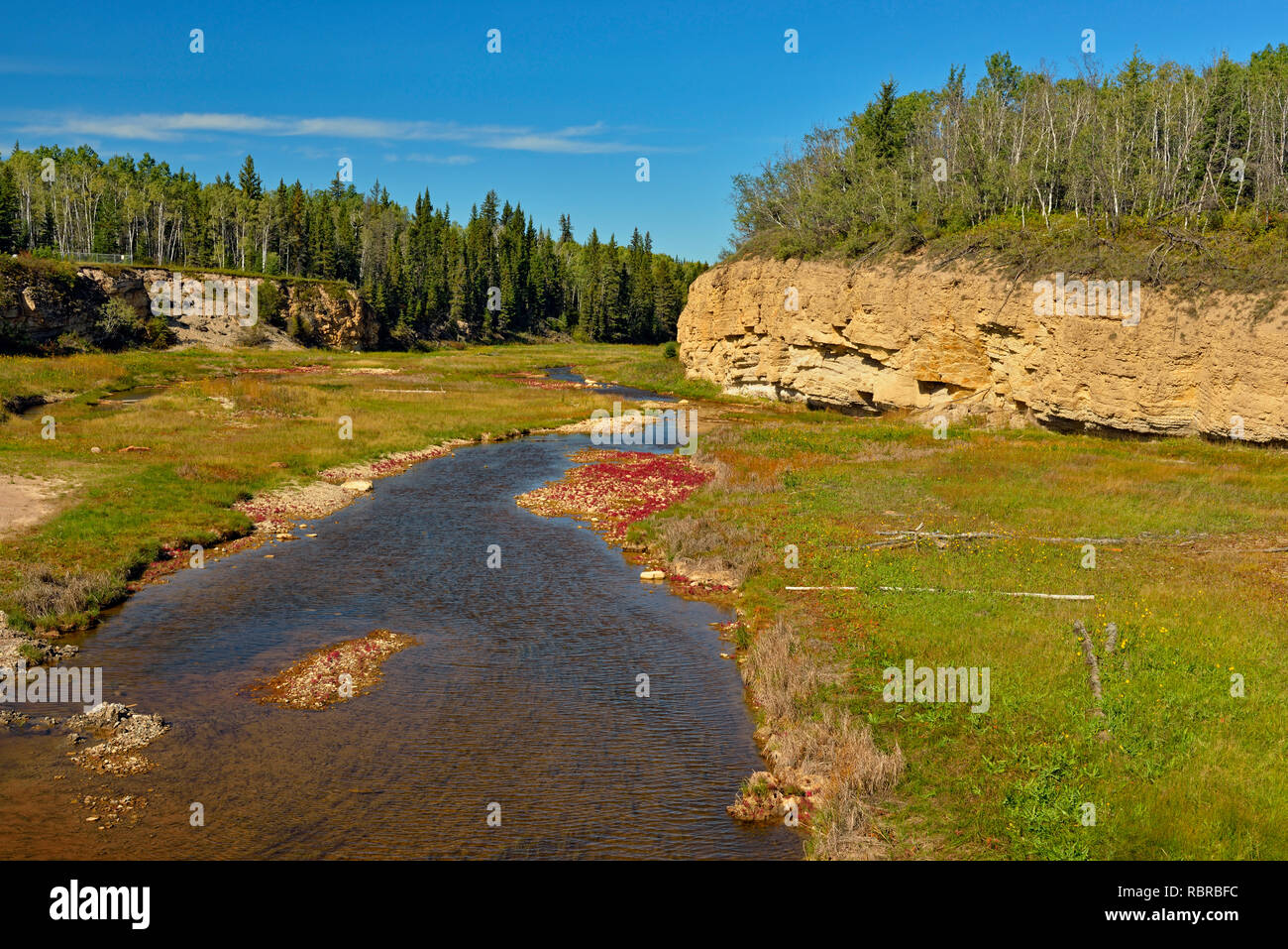Il fiume di sale con red samphire, Parco Nazionale Wood Buffalo, Northwest Territories, Canada Foto Stock