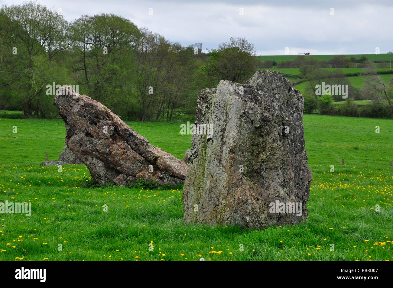 Stanton Drew circoli di pietra. Vi sono tre circoli di pietra nei pressi del villaggio di Stanton Drew nel Somerset. Il grande cerchio, a 113 metri diam. Foto Stock