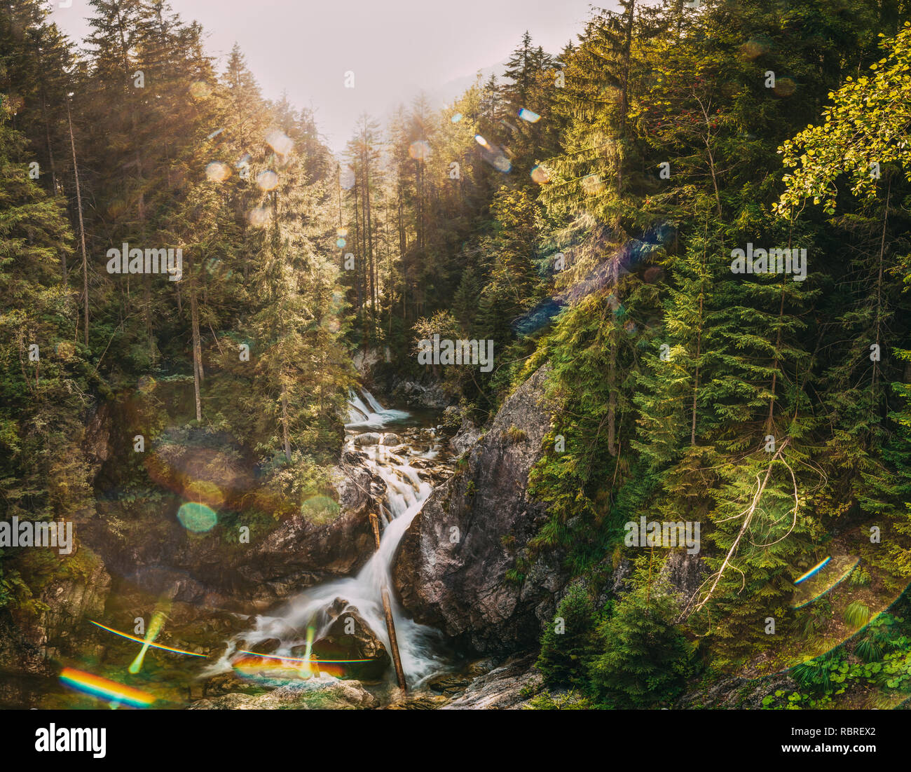 Parco nazionale dei Alti Tatra, Polonia. Cascata Wodogrzmoty Mickiewicza In estate sulle Montagne Paesaggio al tramonto. La luce del sole attraverso gli alberi in Tatra. Il carattere europeo Foto Stock