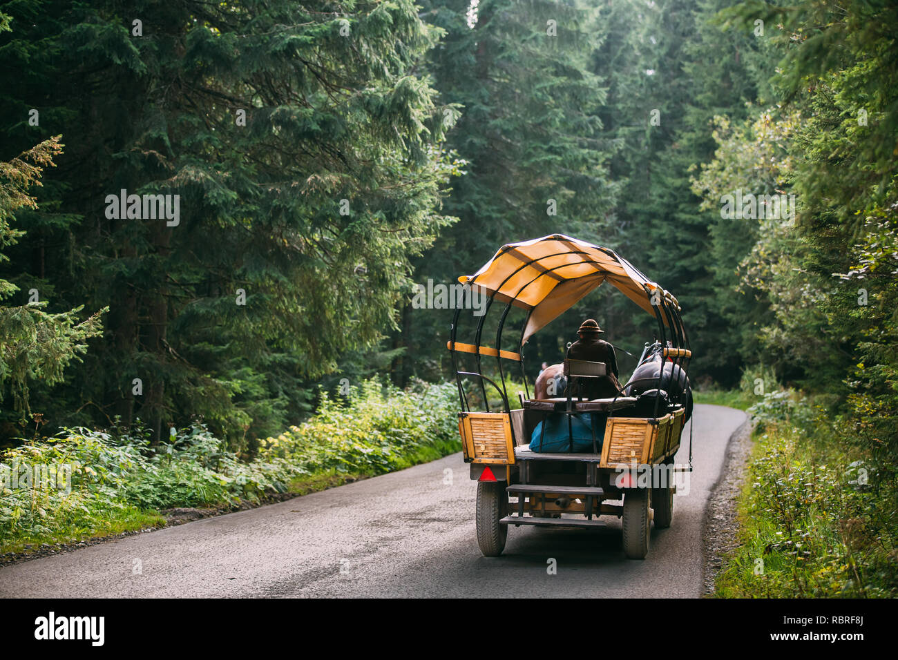 Parco nazionale dei Alti Tatra, Polonia. Uomo in Nazionale Polacca tradizionale etnica Folk costumi cavalcare un carrello imbrigliato da una coppia di cavalli lungo una strada di montagna. Foto Stock