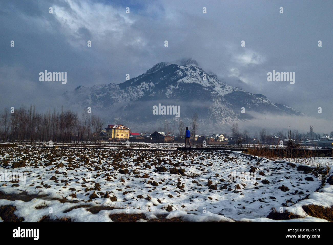 Un uomo visto a piedi attraverso la coperta di neve risaia dopo la nevicata fresca sulla periferia di Srinagar, Indiano Kashmir amministrato. La questione del Kashmir, comprese le pianure della valle, ricevuto nevicata fresca giovedì notte che ha continuato fino a venerdì mattina. Il Met Office ha previsto la luce intermittente delle precipitazioni per le prossime 24 ore. Foto Stock