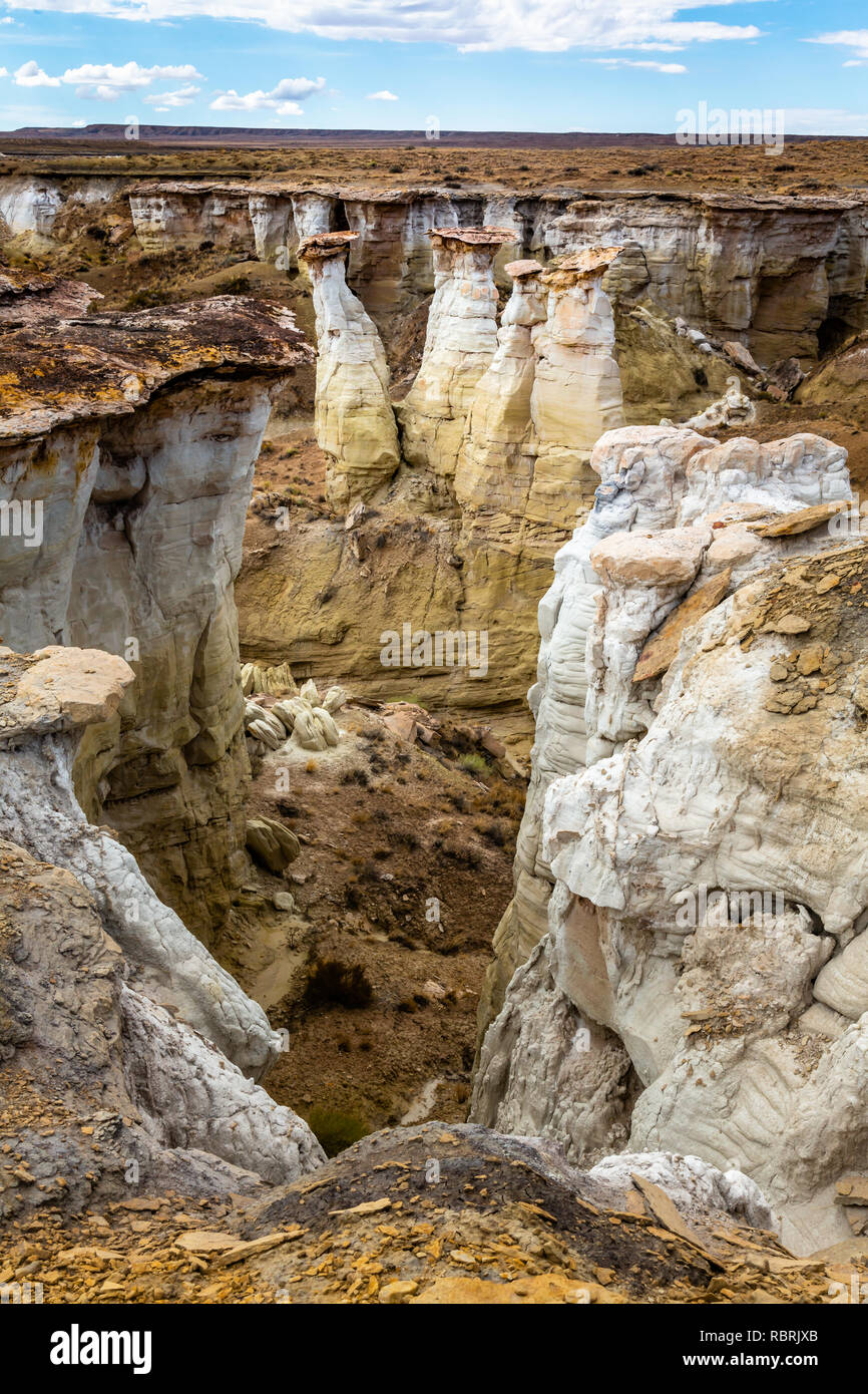 Miniera di carbone Canyon è un canyon colorato complesso sul bordo del Deserto Dipinto nella Riserva Navajo del nord-est in Arizona. Foto Stock