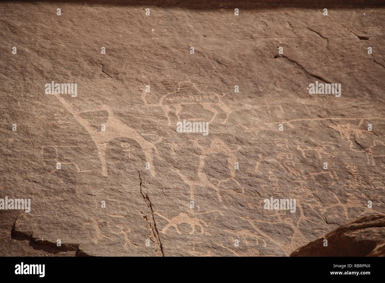 Pitture rupestri, incisioni rupestri, Wadi Rum, deserto Arabico, Giordania Foto Stock