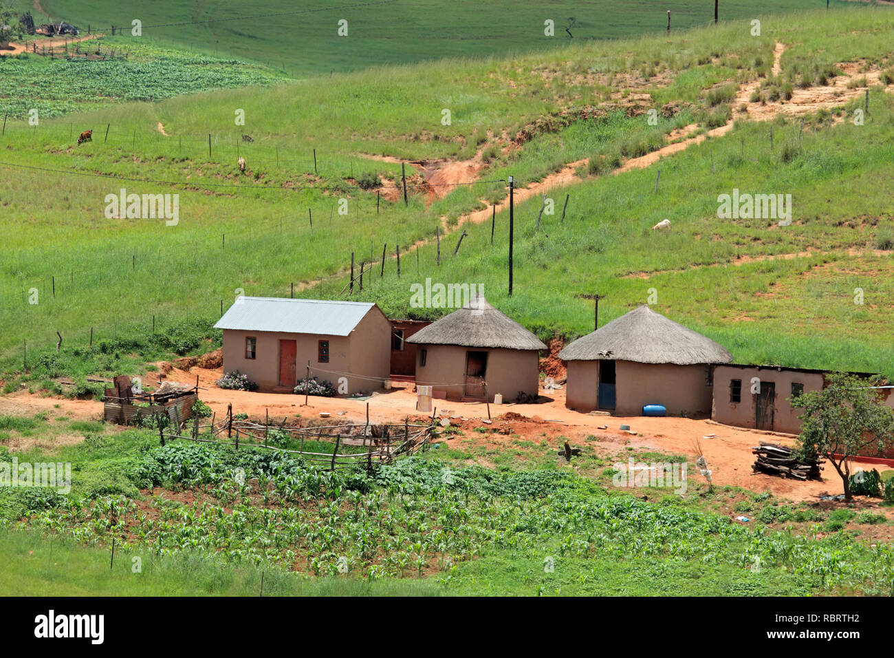 Piccolo insediamento rurale in pascoli di montagna, KwaZulu-Natal, Sud Africa Foto Stock