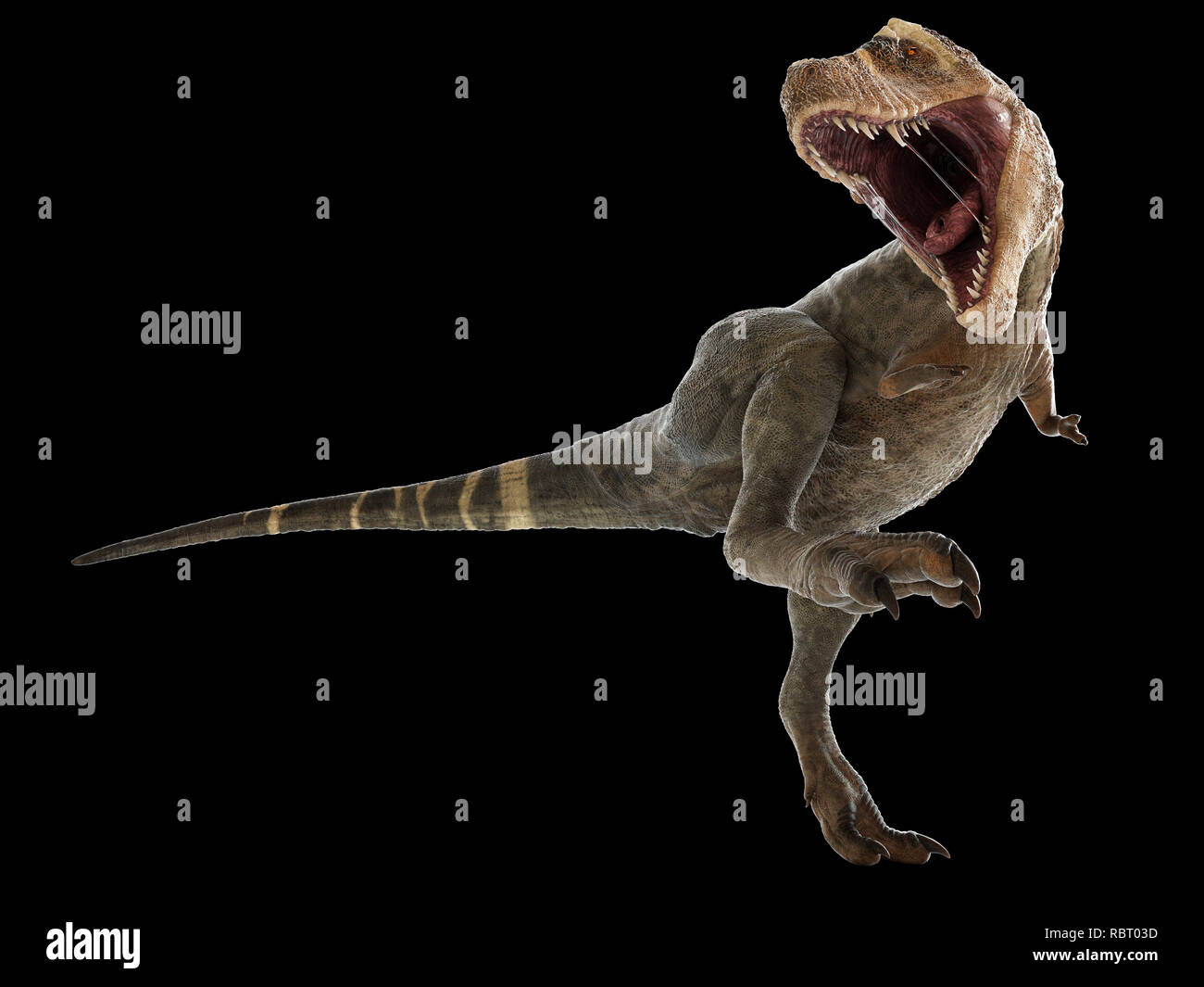 Illustrazione di un T-rex. Foto Stock