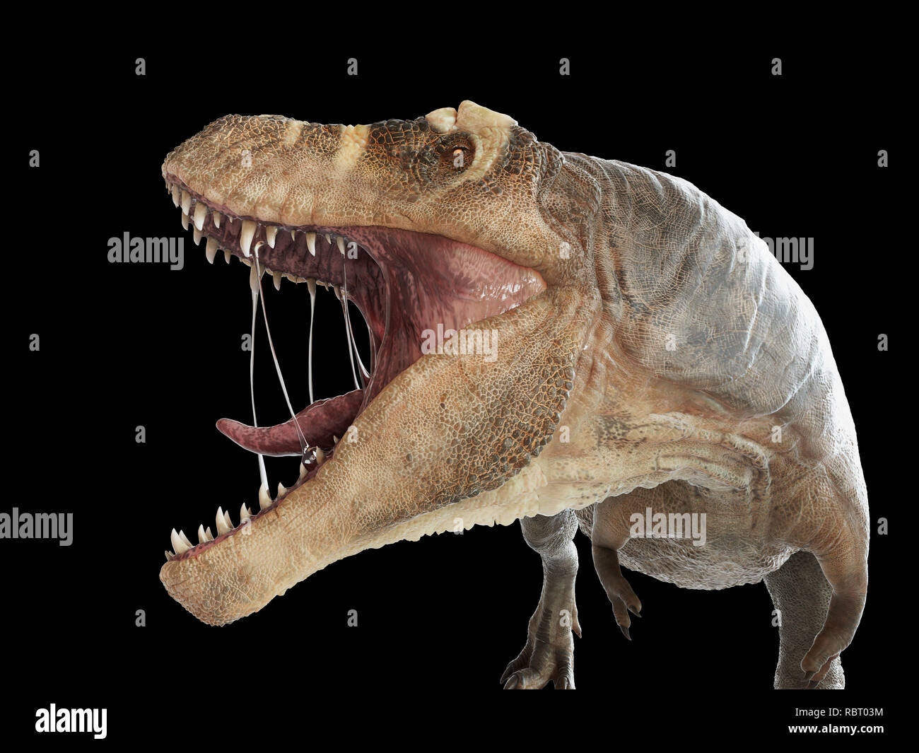Illustrazione di un T-rex. Foto Stock