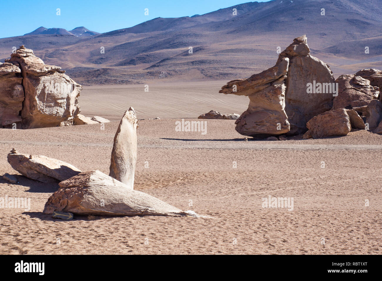 Erosione naturale da vento e acqua lungo andato ha lasciato scultoreo e artistiche forme di roccia in alto deserto piano dell'Altiplano, Bolivia. Foto Stock