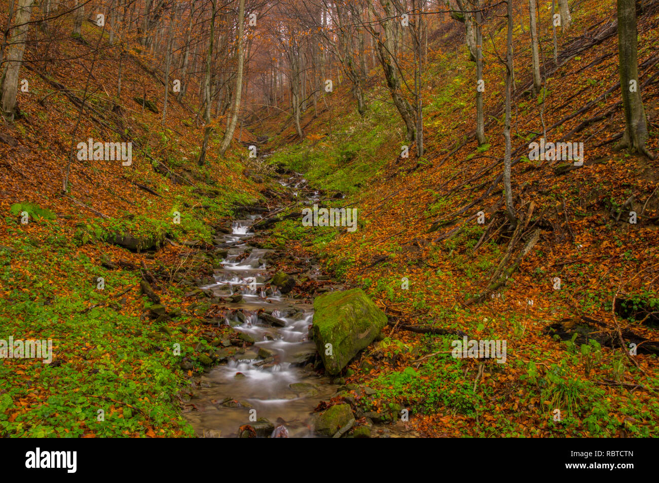 Un bel flusso in un bosco d'autunno. Monti Bieszczady. Polonia Foto Stock