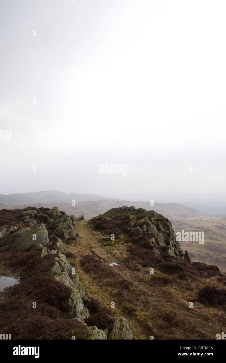 Heather e bracken moorland tipico del nord Inghilterra e Scozia, specificamente nel distretto del lago, Cumbria. Nebbia nella distanza su questo ea Foto Stock
