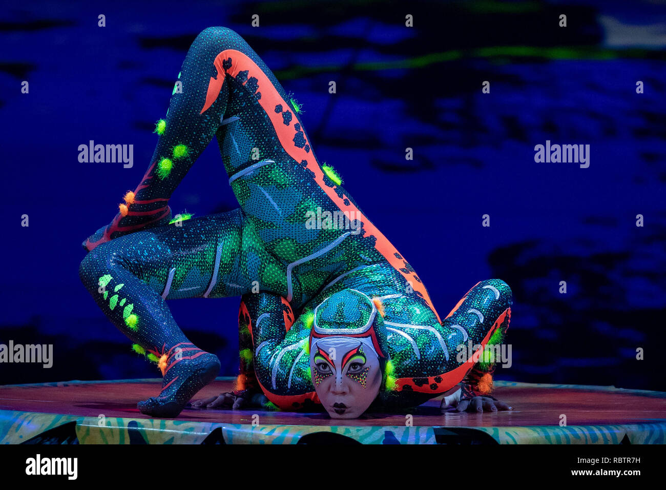 Londra, Inghilterra. Xi Gennaio 201, membri del cast del Cirque Du Soleil eseguire in "Cirque Du Soleil Totem' Prove abito presso la Royal Albert Hall ,l'Inghilterra, © Jason Richardson / Alamy Live News Foto Stock