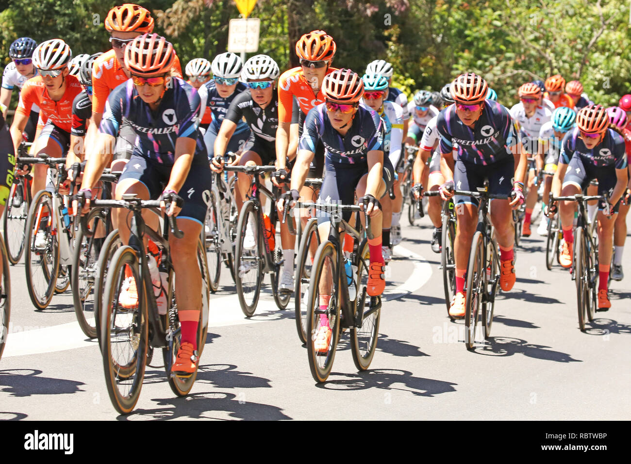 Piloti in lizza nella fase 3 del 2019 Womens Tour Down Under attraverso le colline di Adelaide. Grazia marrone (AUS) dall'Mitchelton Scott Team è stato vincitore di tappa. Russell Mountford/Alamy Live News Foto Stock