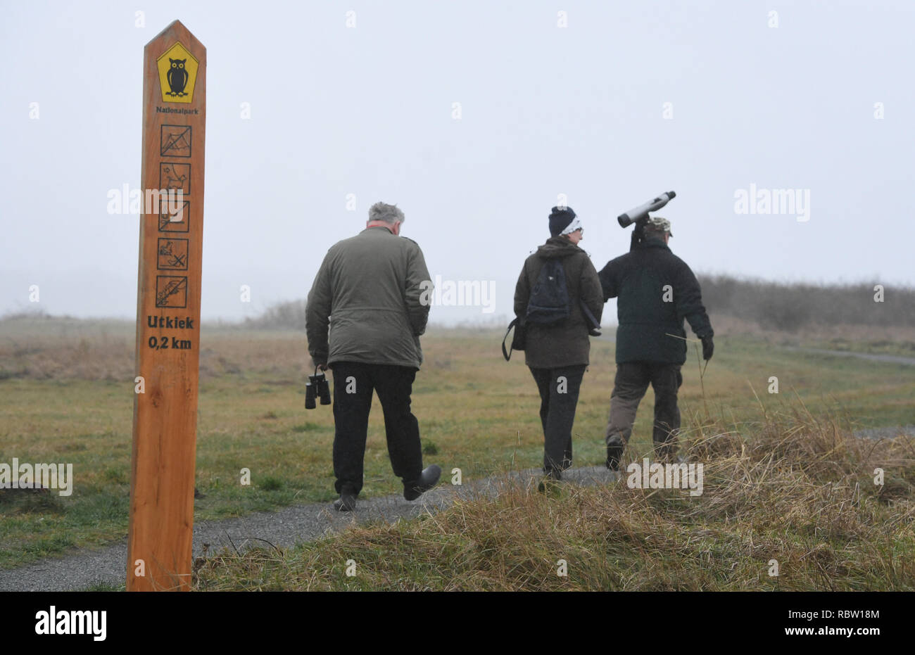 12 gennaio 2019, Meclemburgo-Pomerania, Barhöft: Parco Nazionale ranger Gerd Görs (r) dal Parco Nazionale di guardia è sulla sua strada con un gruppo di acqua il conteggio degli uccelli al Barhöfter Bodden banca. Nel Parco Nazionale di Vorpommersche Boddenlandschaft rangers ha invitato gli amanti degli uccelli con il binocolo e un libro di destinazioni di partecipare su vari percorsi di conteggio. In tutto il mondo nel mezzo dell'inverno l'acqua gli uccelli sono contati. In Meclemburgo-Pomerania questo weekend, circa 100 volontari consente di acquisire i volatili presso la costa del Mar Baltico e delle acque Bodden, nei grandi laghi e fiumi. Anatre, Foto Stock